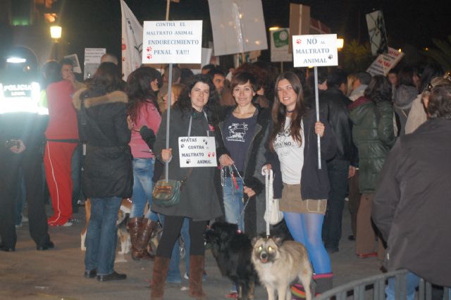 La asociacion '4 patas Jumilla' participó en la manifestacion de Murcia contra el maltrato animal - 1, Foto 1