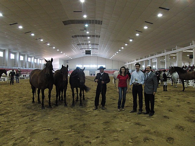 Se clausura EQUIMUR 2011 con la entrega de premios a los mejores caballos - 2, Foto 2