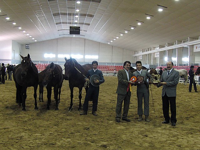 Se clausura EQUIMUR 2011 con la entrega de premios a los mejores caballos - 3, Foto 3