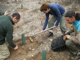 La fundacin Global Nature inicia un proyecto para la conservacin de las ramblas