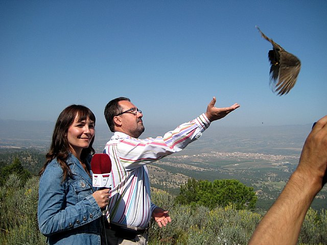 La Comunidad libera a dos cernícalos comunes y dos gavilanes que fueron curados en el Centro de Recuperación de Fauna Silvestre - 1, Foto 1