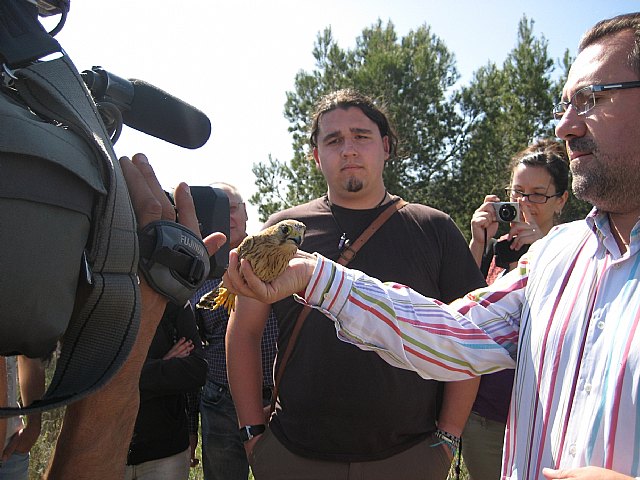 La Comunidad libera a dos cernícalos comunes y dos gavilanes que fueron curados en el Centro de Recuperación de Fauna Silvestre - 2, Foto 2