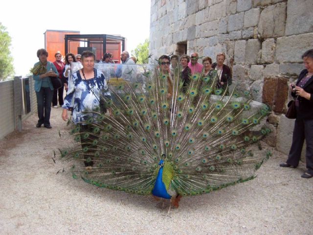 El II Taller Descubre Tu ciudad rememora la figura de Carlos III - 1, Foto 1