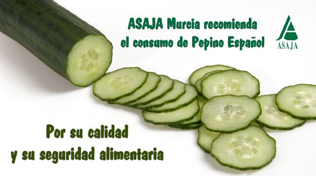 Ponen en marcha una campaña a través de Internet para promocionar el pepino español - 1, Foto 1