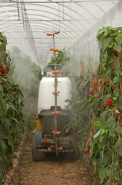 Agricultura celebra una Jornada técnica para optimizar las aplicaciones de los productos fitosanitarios - 2, Foto 2