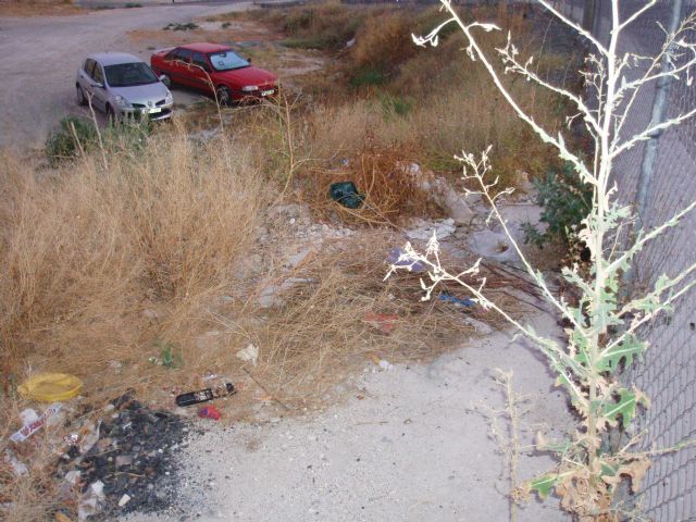 El PSOE denuncia la existencia de vertederos públicos en pleno casco urbano - 1, Foto 1