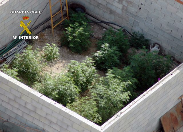 La Guardia Civil desmantela un punto de producción y distribución de marihuana en Cehegín - 2, Foto 2