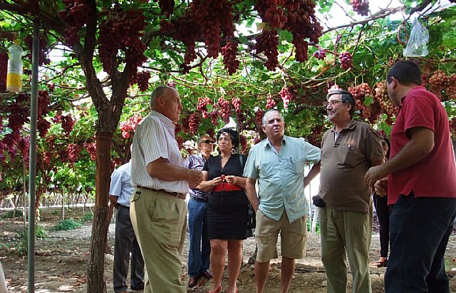 Agricultores del Valle del Vinalopó se interesan por el proyecto de obtención de nuevas variedades de uva de mesa de la Región - 1, Foto 1