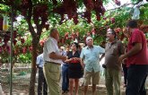 Agricultores del Valle del Vinalopó se interesan por el proyecto de obtención de nuevas variedades de uva de mesa de la Región
