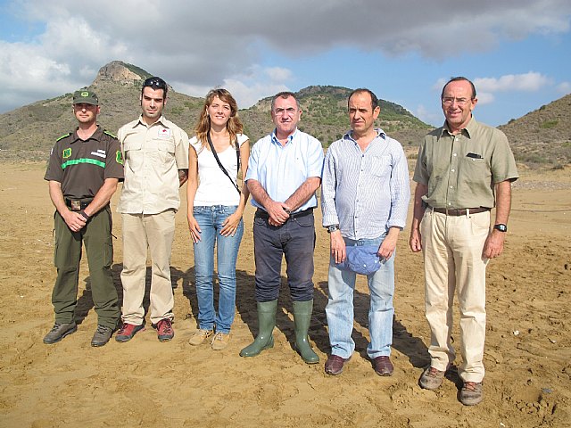 La Consejería de Presidencia libera dos ejemplares de tortuga boba tras ser curados en el Centro de Recuperación de Fauna Silvestre - 2, Foto 2