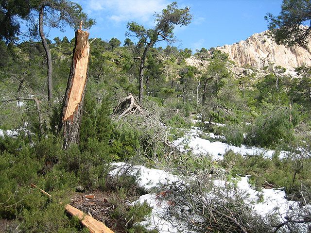 El Gobierno Regional declara bien cultural el yacimiento megalítico del Morrón, en el Parque Regional de Sierra Espuña - 1, Foto 1