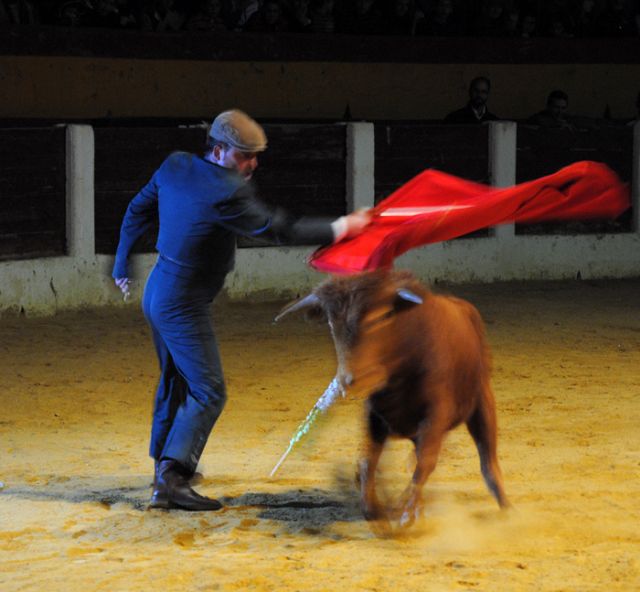 La afición taurina acude a la llamada de Pro-Encierros - 1, Foto 1