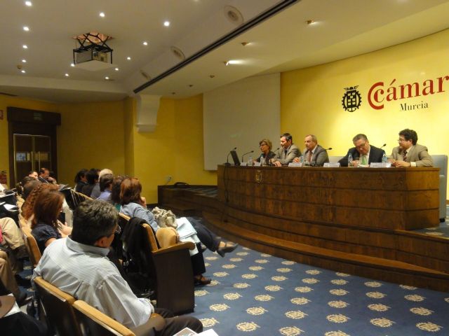 Pelegrín inaugura la jornada de 'Actividad física, educación y salud' - 1, Foto 1