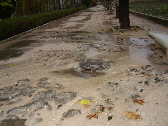 Denuncian que sigue sin solucionarse el problema de las inundaciones de algunas calles y los desbordamientos de la red con las lluvias - 2, Foto 2