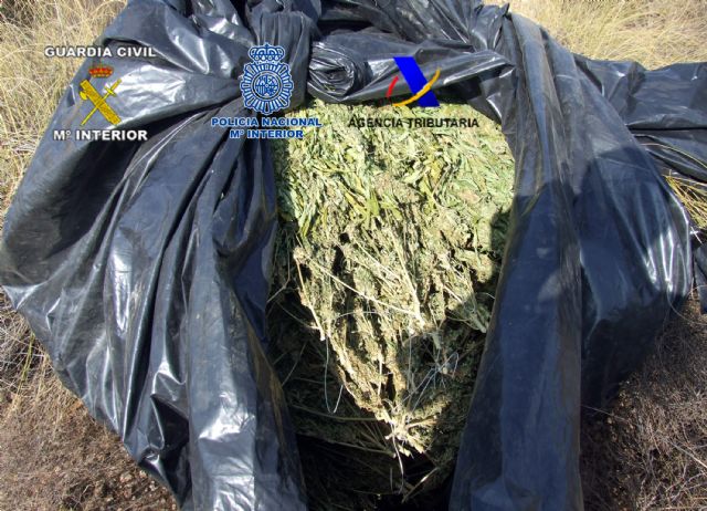 Desarticulada una organización criminal dedicada al tráfico de drogas y blanqueo de capitales - 1, Foto 1