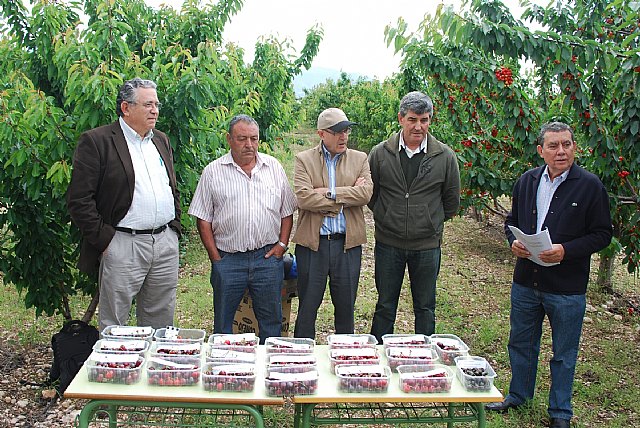 Agricultura participa en una iniciativa para salvaguardar la producción de cereza europea - 1, Foto 1