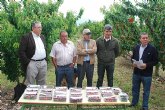 Agricultura participa en una iniciativa para salvaguardar la produccin de cereza europea