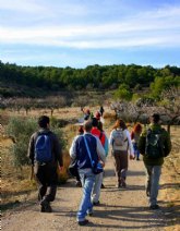 Presidencia desarrollar un amplio programa de actividades de sensibilizacin ambiental en los espacios naturales protegidos de la Regin