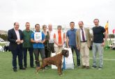 Puerto Lumbreras acogerá el próximo fin de semana una Exhibición del Bóxer Club España y un Concurso Nacional Canino con más de 500 perros