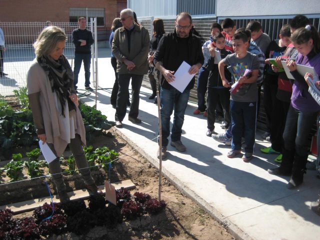 2.000 alumnos aprenden a identificar y a cuidar los cultivos básicos de la huerta murciana en los patios de sus colegios - 1, Foto 1