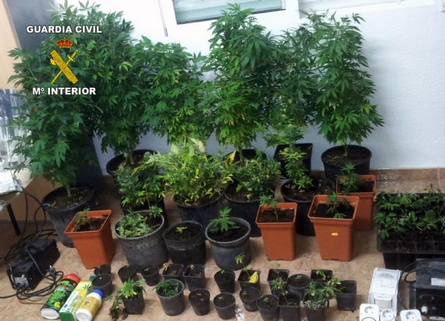 Guardia Civil y Policía Local detienen a dos personas por tráfico de droga en Ramonete-Lorca - 1, Foto 1