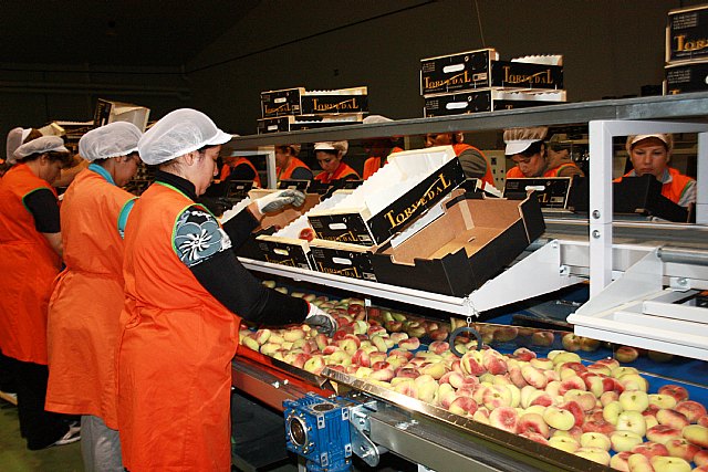 Agricultura presenta al sector la aplicación informática del Registro de comerciantes exportadores vegetales - 1, Foto 1