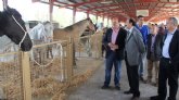Inaugurada la Feria de Ganado Equino de Puerto Lumbreras que muestra más de 500 ejemplares de ganado durante todo el fin de semana