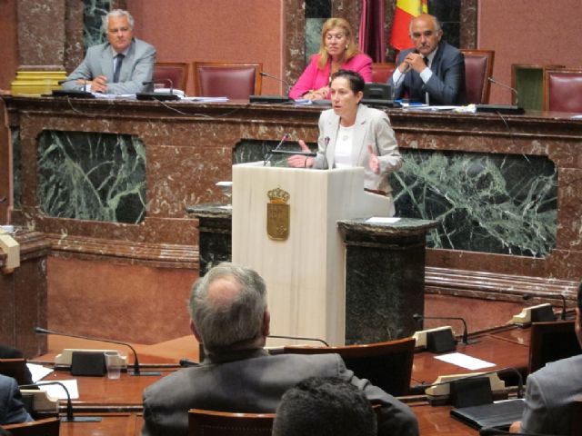 Catalina Lorenzo: A los socialistas se les ha olvidado que fueron ellos quienes congelaron por Ley las pensiones - 1, Foto 1