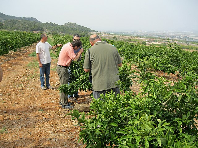 Agricultura impartirá 11 cursos de acceso gratuito especializados en la gestión integrada de plagas - 1, Foto 1