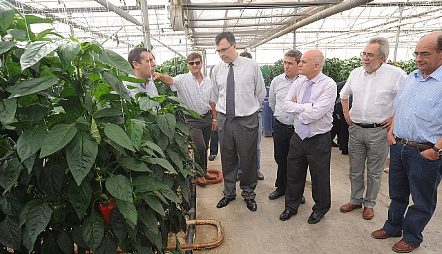 La Comunidad incentiva el desarrollo de proyectos de I+D+i para mejorar la calidad de los productos hortofrutícolas de la Región - 1, Foto 1