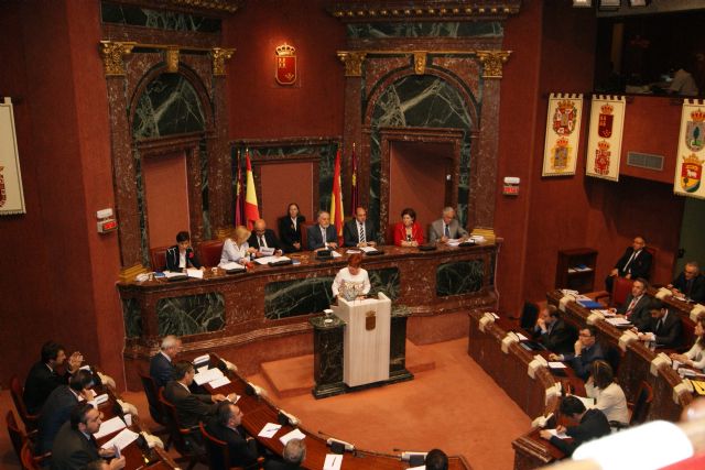 Discurso de la Portavoz del Grupo Parlamentario Socialista.Begoña García Retegui - 1, Foto 1