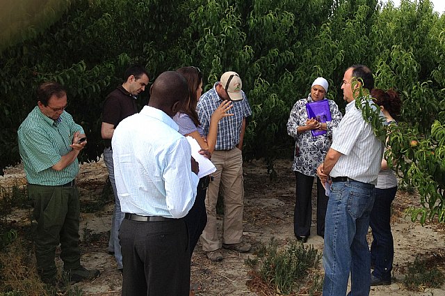 Inspectores de Sudáfrica visitan la Región para comprobar el protocolo de exportación de fruta de hueso - 1, Foto 1