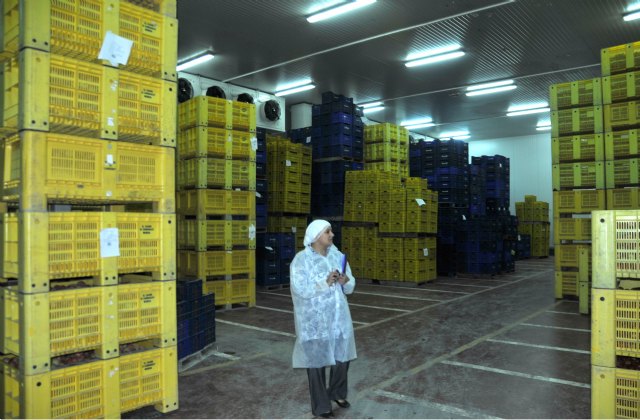 Inspectores de Sudáfrica visitan la Región para comprobar el protocolo de exportación de fruta de hueso - 2, Foto 2