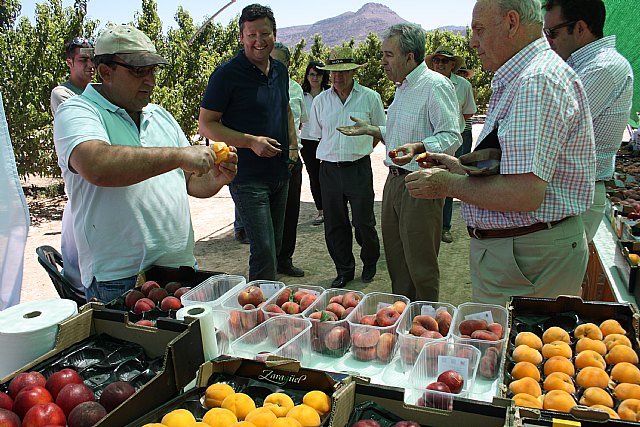 Cerdá destaca la iniciativa de los agricultores murcianos de invertir en I+D como apuesta de futuro para seguir siendo competitivos - 1, Foto 1