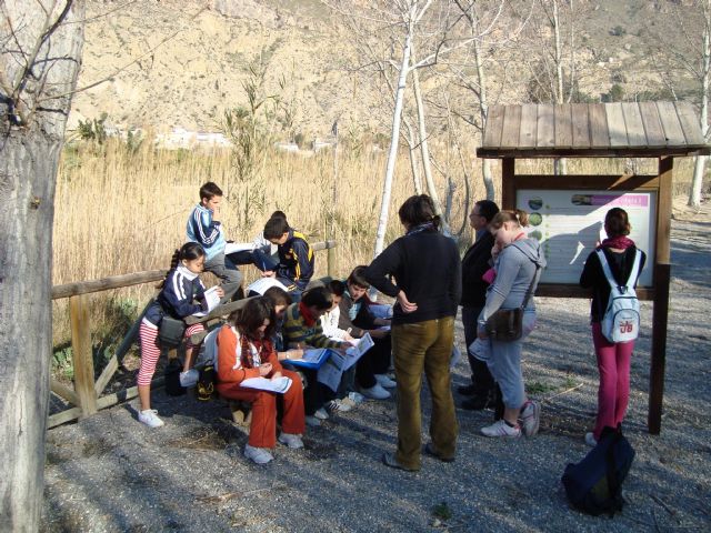 Comienzan los proyectos del programa de Voluntariado en Ríos en la cuenca del Segura - 2, Foto 2