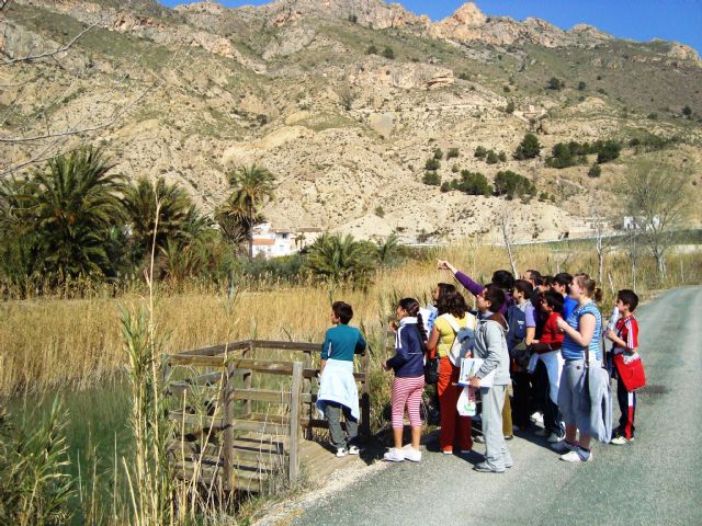 Comienzan los proyectos del programa de Voluntariado en Ríos en la cuenca del Segura - 3, Foto 3