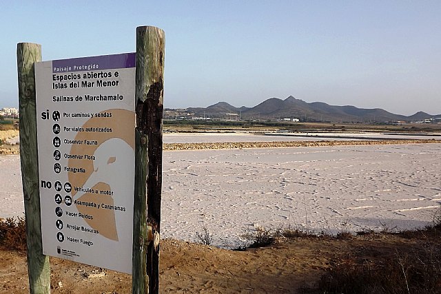 ANSE denuncia la nueva desecación de las Salinas de Marchamalo (Mar Menor) - 2, Foto 2