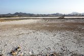 ANSE denuncia la nueva desecacin de las Salinas de Marchamalo (Mar Menor)