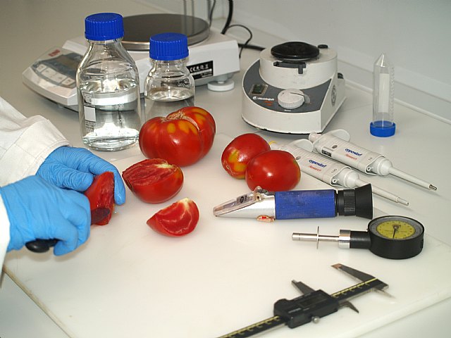 Agricultura desarrolla un proyecto para conseguir tomates de alta calidad - 1, Foto 1