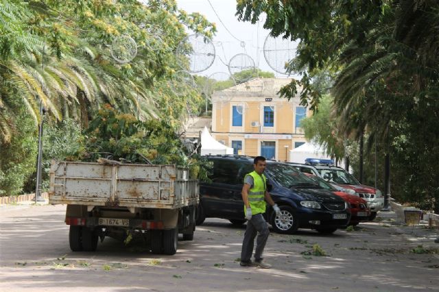 Los Concejales de Servicios y Servicios Sociales, hacen balance de los daños ocasionados el pasado sábado por las fuertes ráfagas de viento - 2, Foto 2