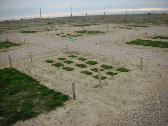 El IMIDA culmina un proyecto para el ahorro de agua en el riego de zonas verdes, deportivas y campos de golf - 1, Foto 1