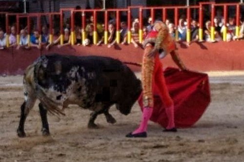 Antonio Puerta da una vuelta al ruedo en Arganda del Rey - 1, Foto 1