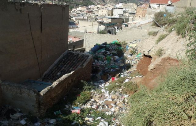 IU-Verdes denuncia que el equipo de gobierno permite vertederos de basuras en zonas residenciales - 4, Foto 4