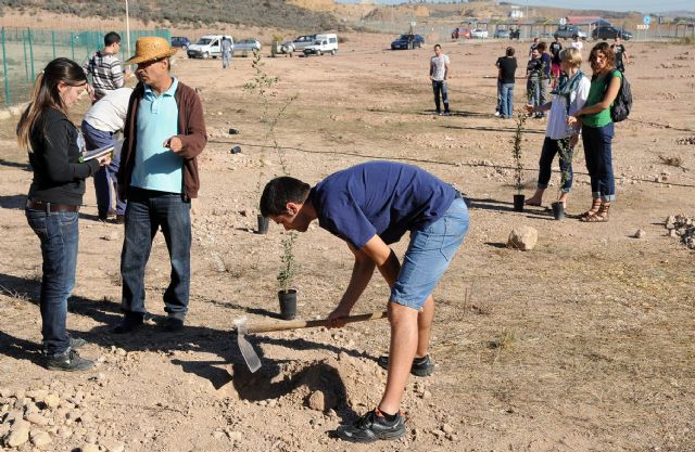 Plantan 300 árboles en el campus de Espinardo - 1, Foto 1