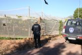 La Polca Local y Guardia Civil mantienen desde septiembre las actuaciones de vigilancia para evitar los robos en los parrales de uva de mesa