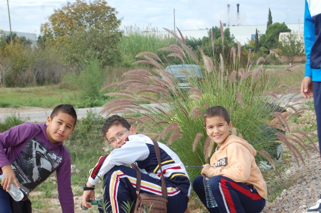 Los escolares se apuntan a la repoblación forestal de la Vía Verde del Noroeste - 1, Foto 1