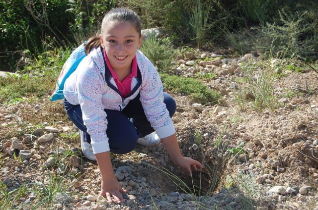 Los escolares se apuntan a la repoblación forestal de la Vía Verde del Noroeste - 2, Foto 2