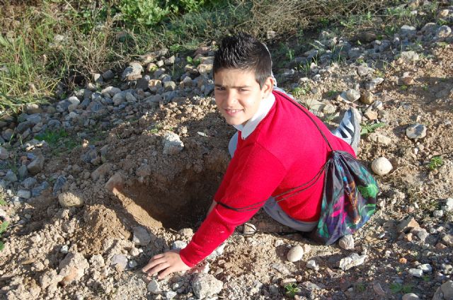 Los escolares se apuntan a la repoblación forestal de la Vía Verde del Noroeste - 3, Foto 3