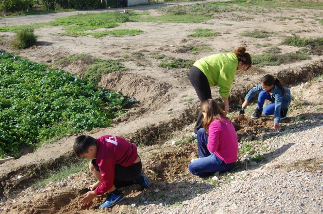 Los escolares se apuntan a la repoblación forestal de la Vía Verde del Noroeste - 4, Foto 4