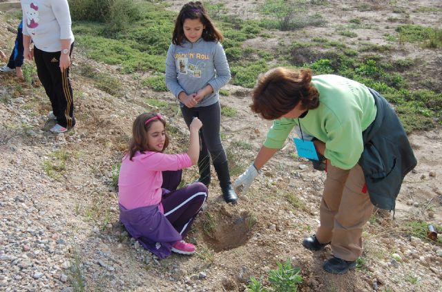 Los escolares se apuntan a la repoblación forestal de la Vía Verde del Noroeste - 5, Foto 5